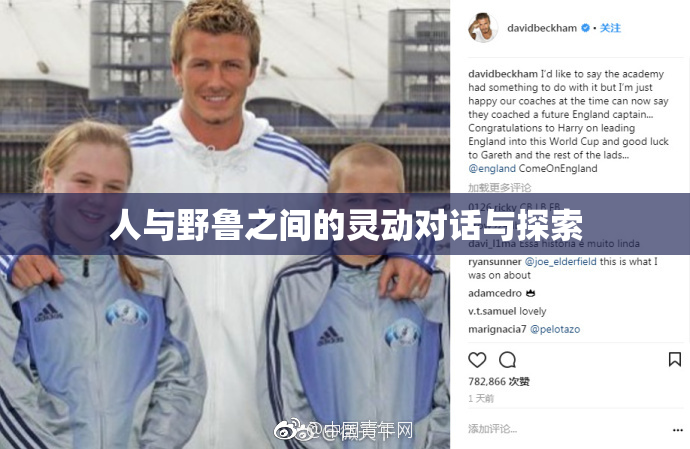 人与野鲁之间的灵动对话与探索