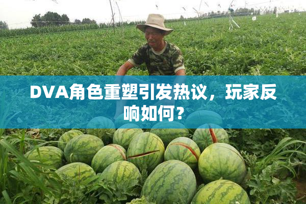 DVA角色重塑引发热议，玩家反响如何？