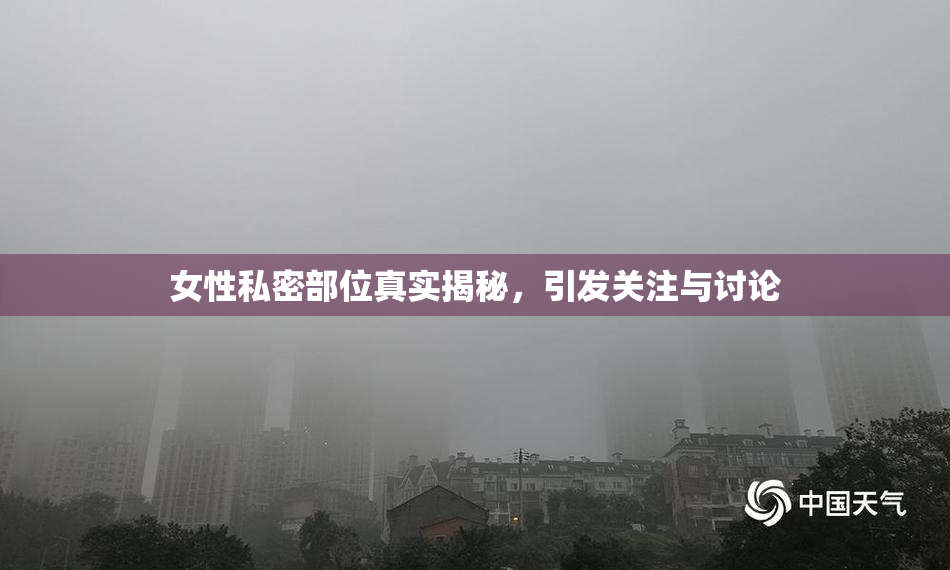 女性私密部位真实揭秘，引发关注与讨论