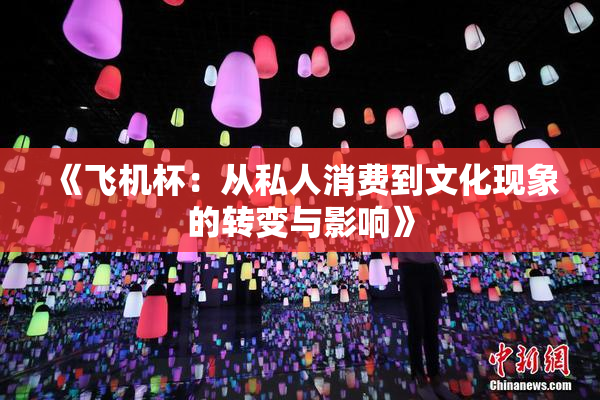 《飞机杯：从私人消费到文化现象的转变与影响》