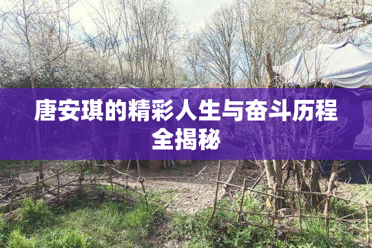 唐安琪的精彩人生与奋斗历程全揭秘