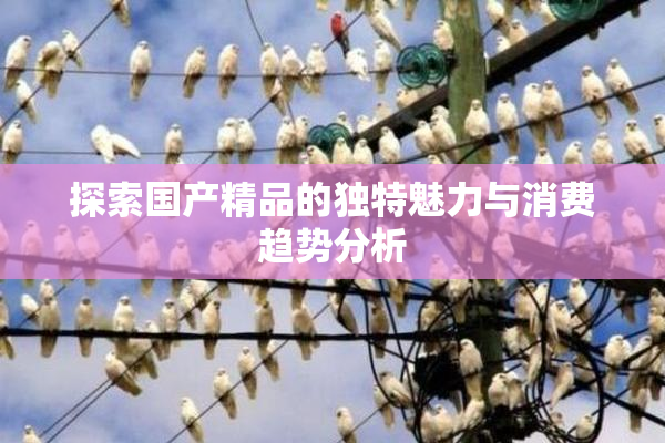 探索国产精品的独特魅力与消费趋势分析