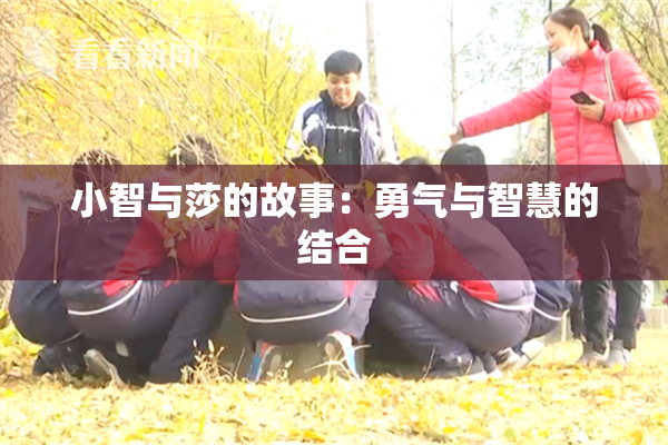 小智与莎的故事：勇气与智慧的结合