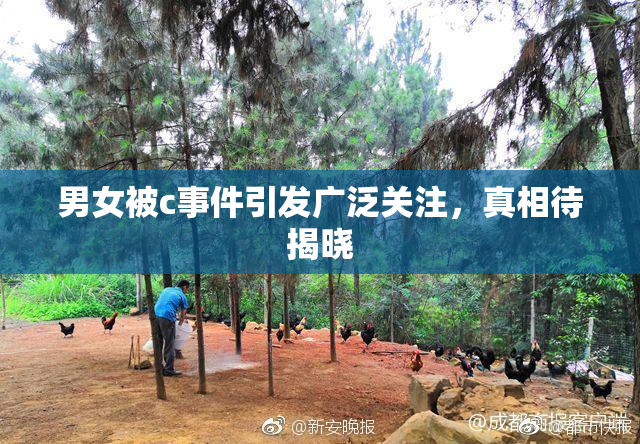 男女被c事件引发广泛关注，真相待揭晓