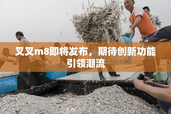 叉叉m8即将发布，期待创新功能引领潮流