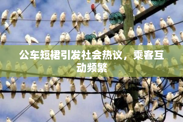 公车短裙引发社会热议，乘客互动频繁