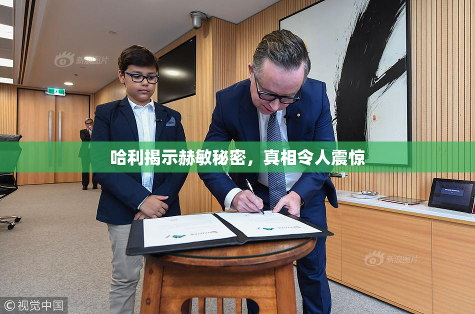 哈利揭示赫敏秘密，真相令人震惊