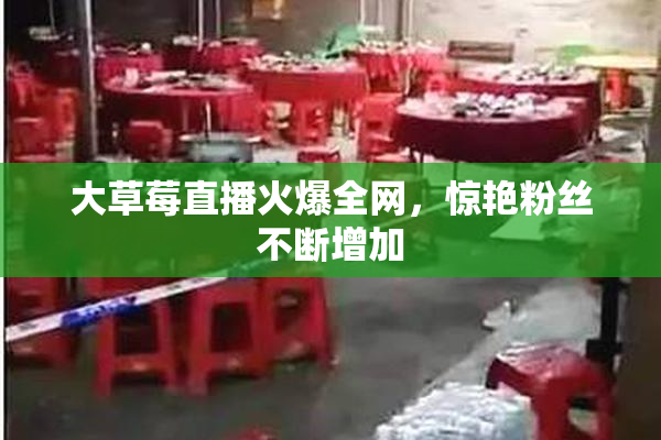 大草莓直播火爆全网，惊艳粉丝不断增加