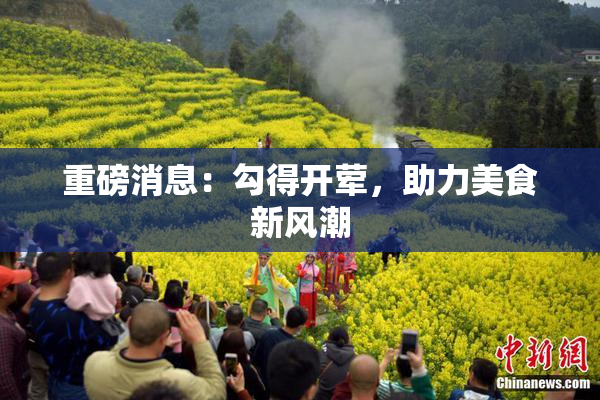 重磅消息：勾得开荤，助力美食新风潮