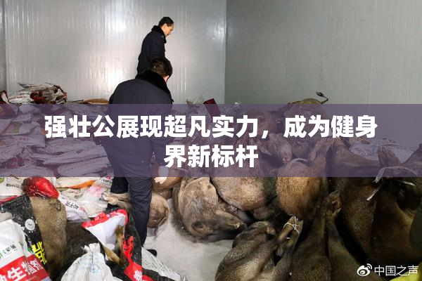 强壮公展现超凡实力，成为健身界新标杆