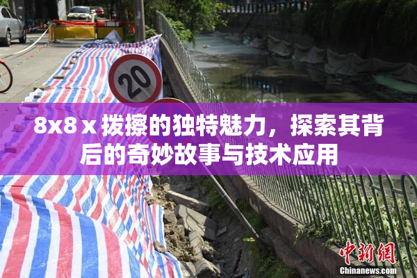 8x8ⅹ拨擦的独特魅力，探索其背后的奇妙故事与技术应用