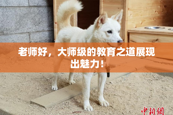老师好，大师级的教育之道展现出魅力！