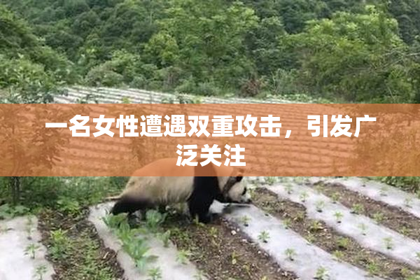 一名女性遭遇双重攻击，引发广泛关注