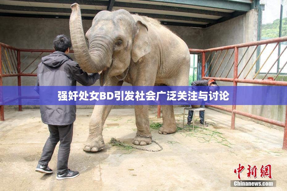 强奸处女BD引发社会广泛关注与讨论