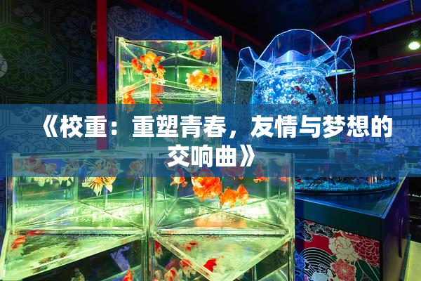 《校重：重塑青春，友情与梦想的交响曲》