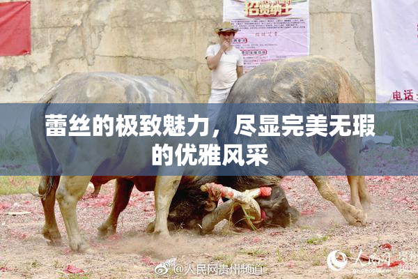 蕾丝的极致魅力，尽显完美无瑕的优雅风采
