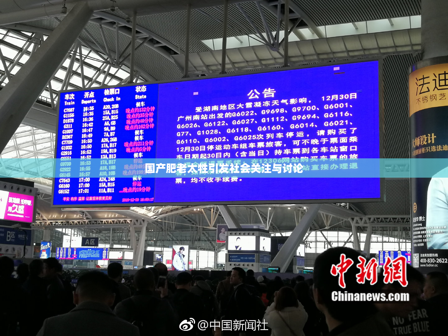 国产肥老太牲引发社会关注与讨论