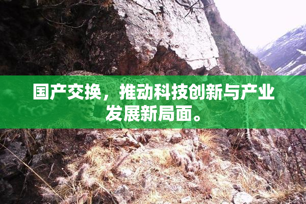 国产交换，推动科技创新与产业发展新局面。