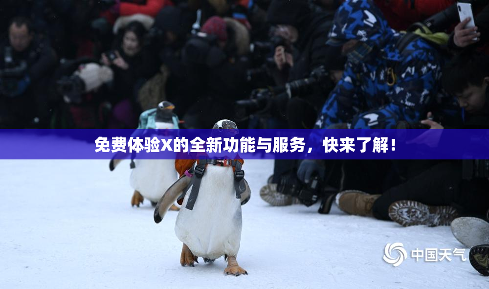 免费体验X的全新功能与服务，快来了解！