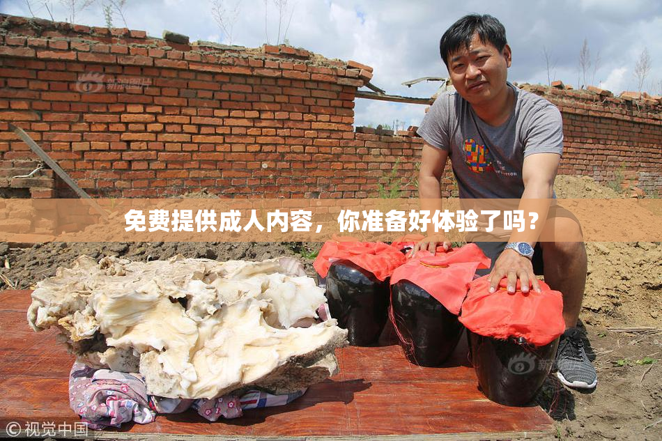 免费提供成人内容，你准备好体验了吗？