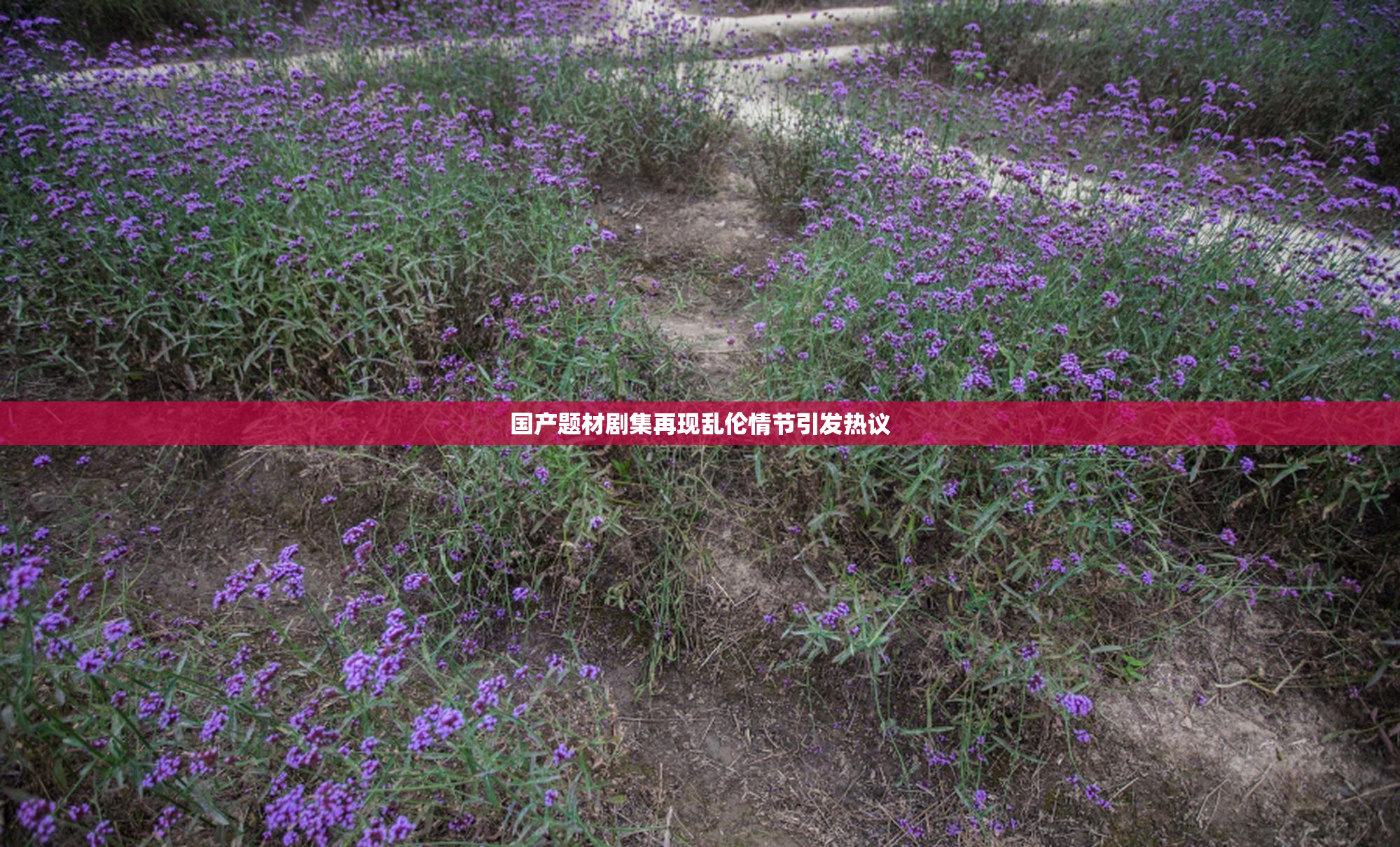 国产题材剧集再现乱伦情节引发热议