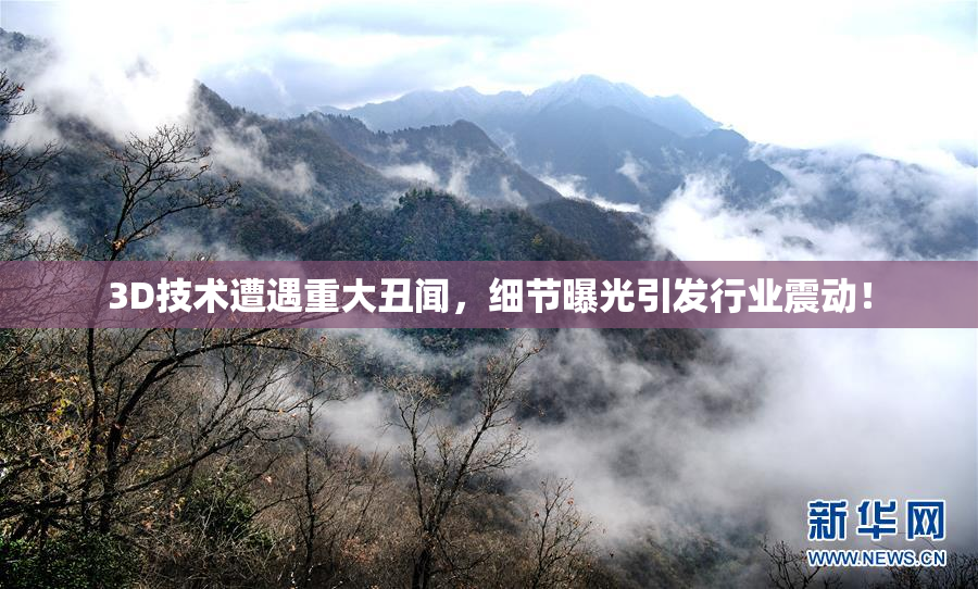 3D技术遭遇重大丑闻，细节曝光引发行业震动！