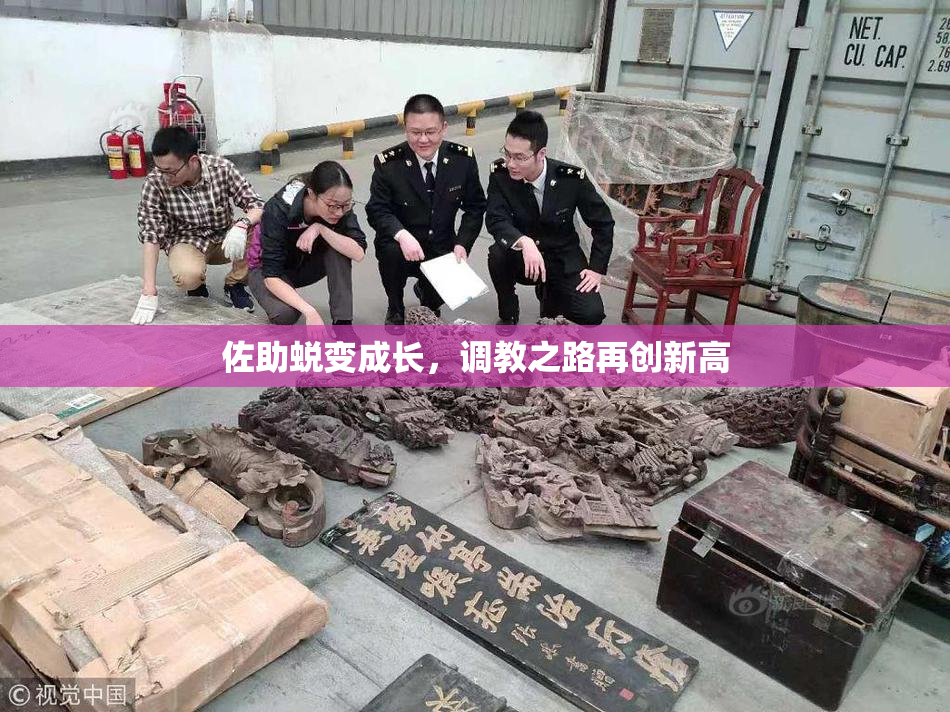 佐助蜕变成长，调教之路再创新高