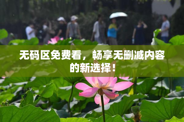 无码区免费看，畅享无删减内容的新选择！
