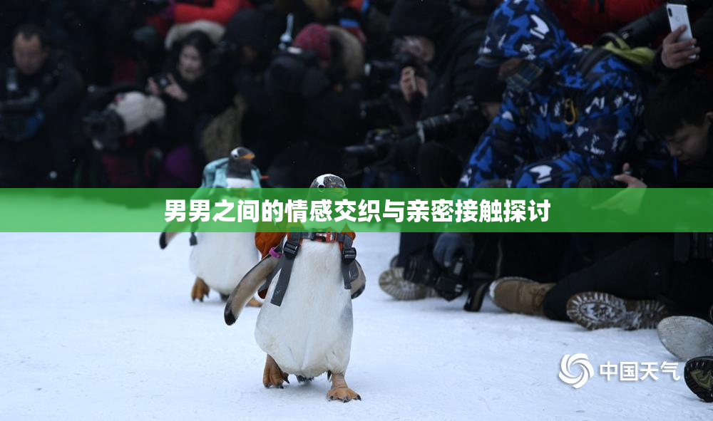 男男之间的情感交织与亲密接触探讨