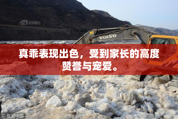 真乖表现出色，受到家长的高度赞誉与宠爱。
