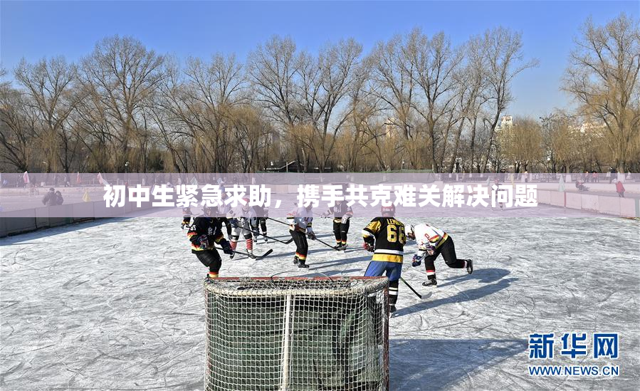 初中生紧急求助，携手共克难关解决问题