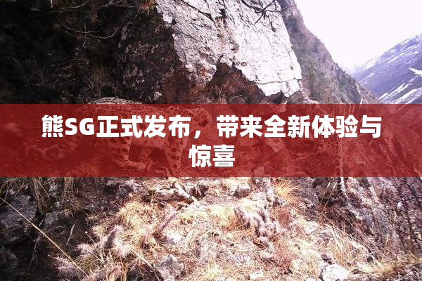 熊SG正式发布，带来全新体验与惊喜