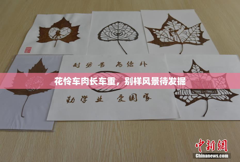 花怜车肉长车重，别样风景待发掘
