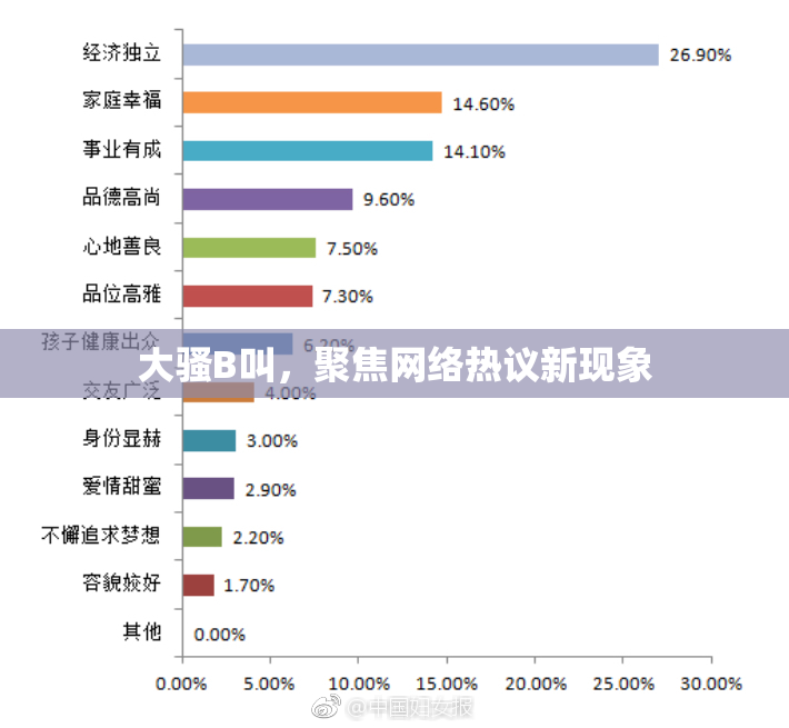 大骚B叫，聚焦网络热议新现象