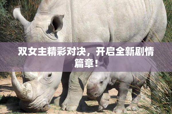 双女主精彩对决，开启全新剧情篇章！