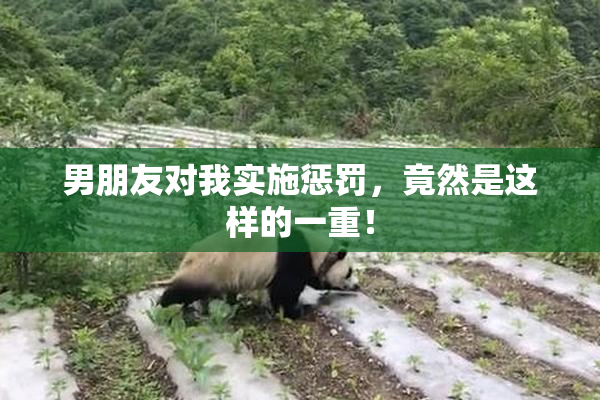 男朋友对我实施惩罚，竟然是这样的一重！