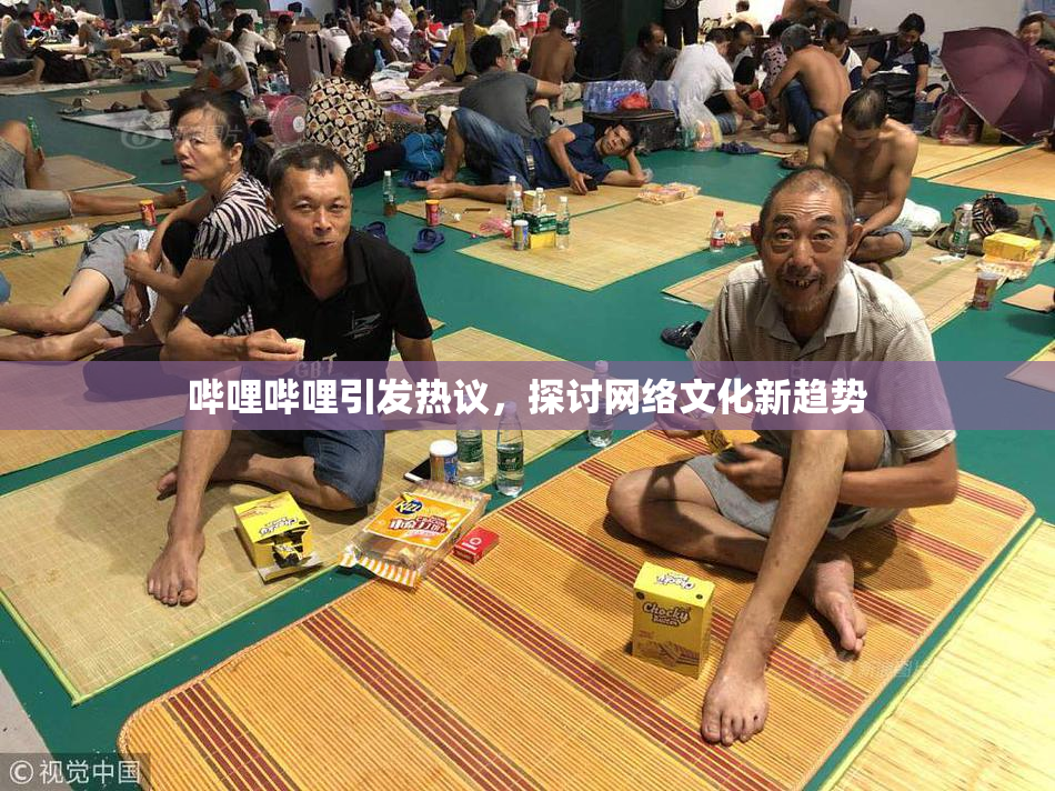 哔哩哔哩引发热议，探讨网络文化新趋势