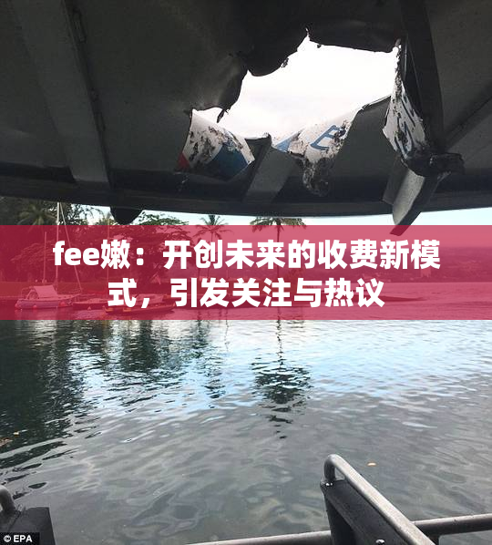 fee嫩：开创未来的收费新模式，引发关注与热议