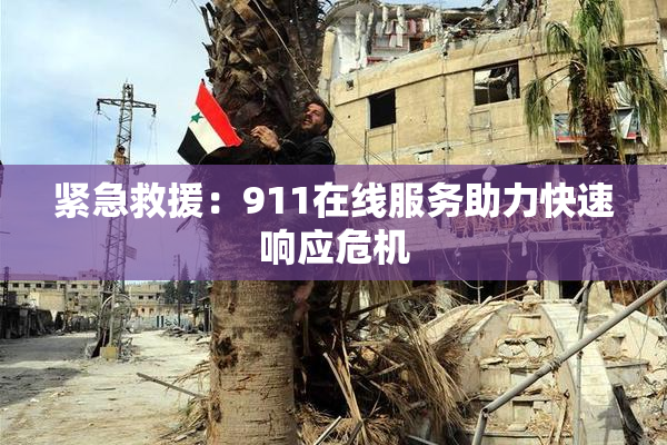紧急救援：911在线服务助力快速响应危机