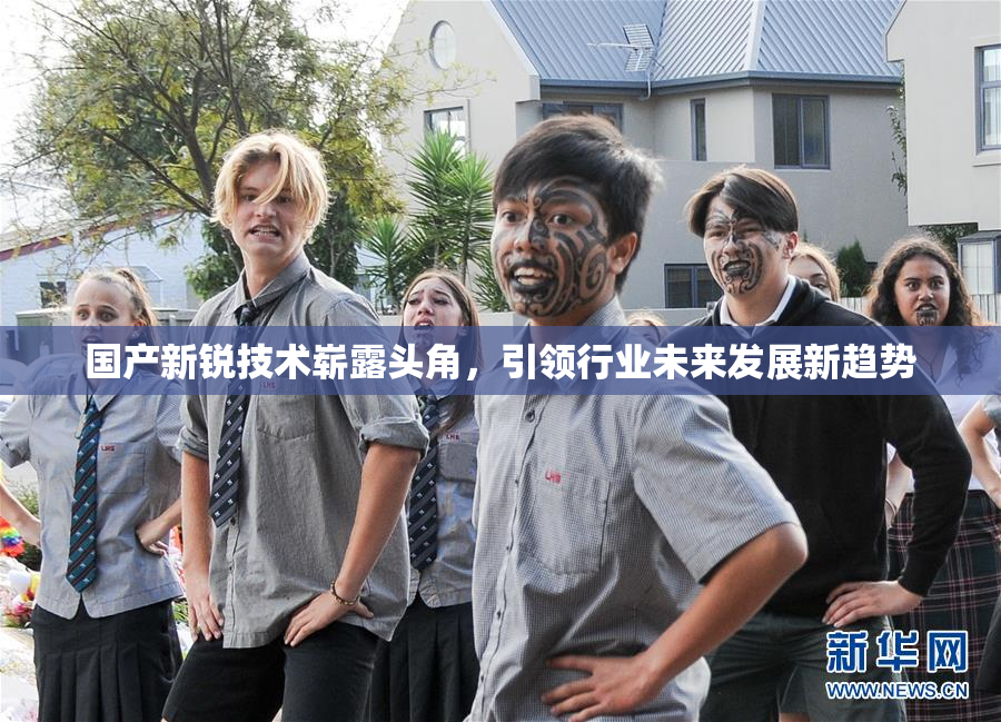 国产新锐技术崭露头角，引领行业未来发展新趋势
