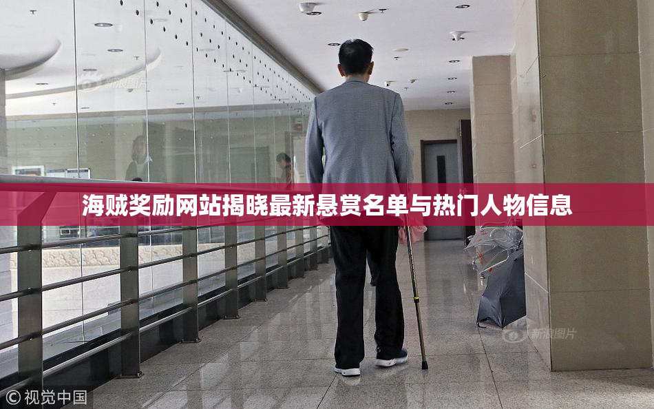海贼奖励网站揭晓最新悬赏名单与热门人物信息