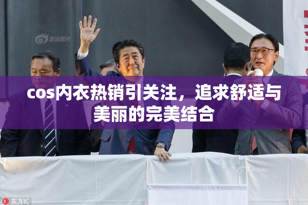 cos内衣热销引关注，追求舒适与美丽的完美结合
