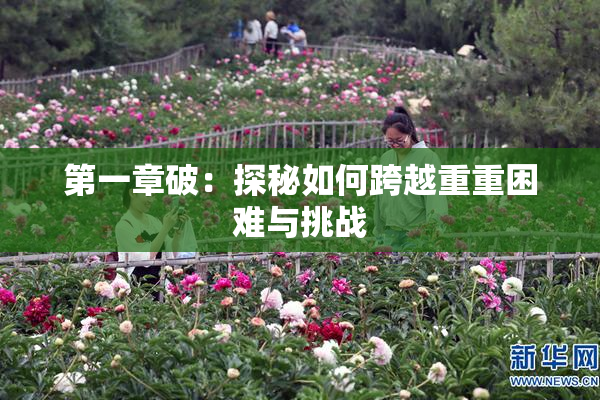 第一章破：探秘如何跨越重重困难与挑战