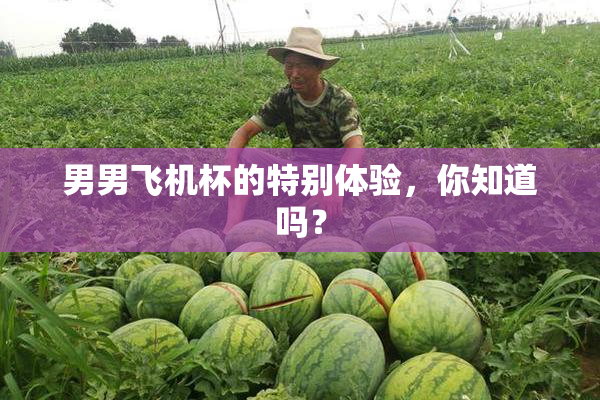 男男飞机杯的特别体验，你知道吗？
