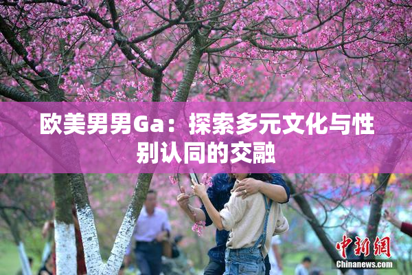 欧美男男Ga：探索多元文化与性别认同的交融