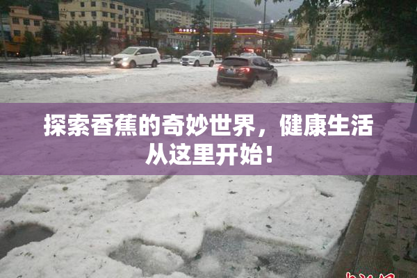 探索香蕉的奇妙世界，健康生活从这里开始！