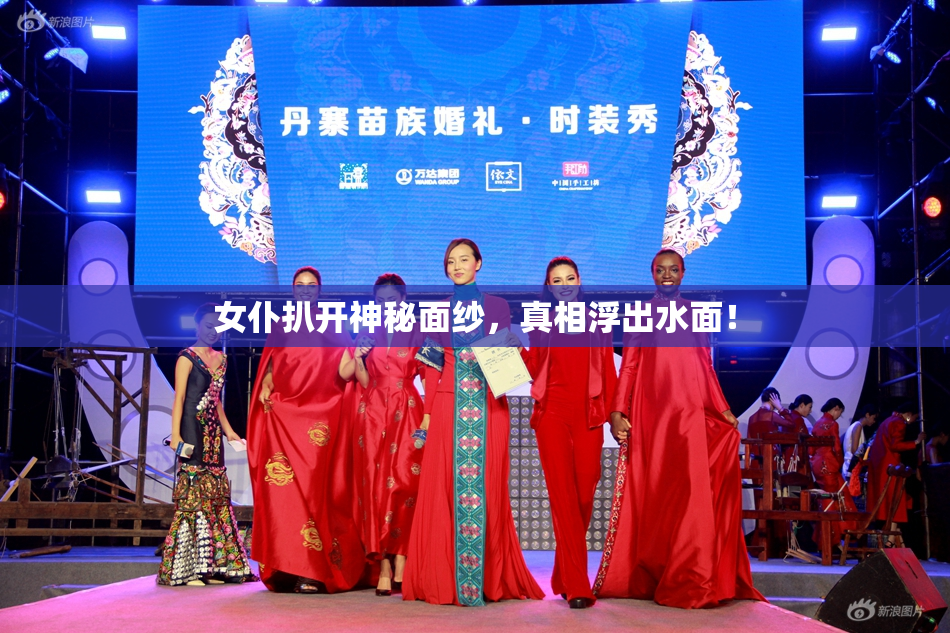 女仆扒开神秘面纱，真相浮出水面！