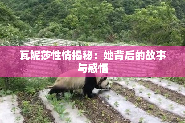 瓦妮莎性情揭秘：她背后的故事与感悟