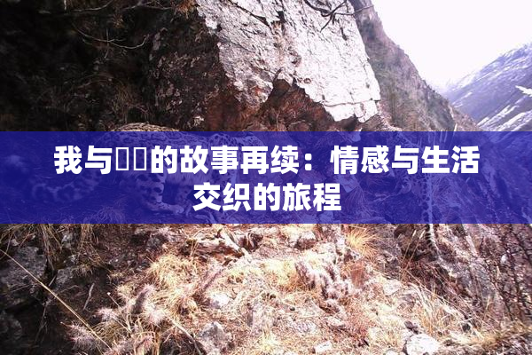 我与妺妺的故事再续：情感与生活交织的旅程