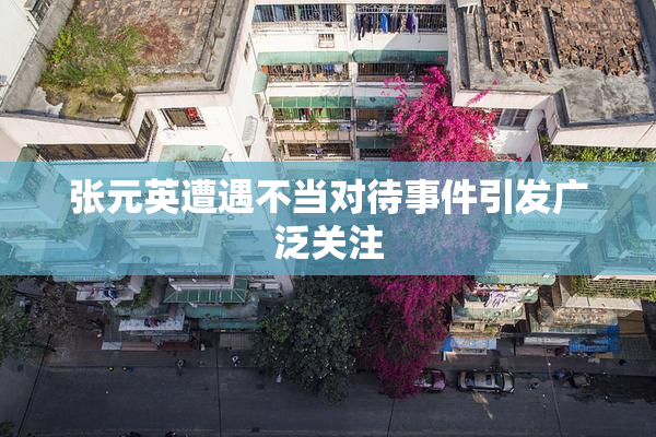 张元英遭遇不当对待事件引发广泛关注